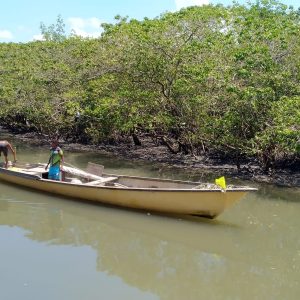 Visita exploratória