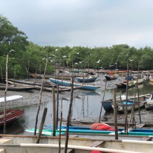 WhatsApp Image 2021-11-03 at 17.31.06