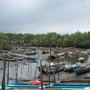 WhatsApp Image 2021-11-03 at 17.31.17