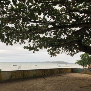 WhatsApp Image 2021-11-03 at 17.31.34