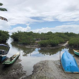 WhatsApp Image 2021-11-03 at 17.33.12